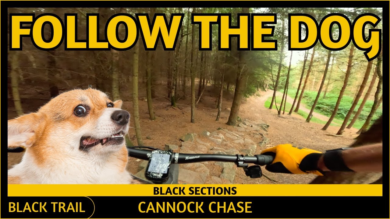 Follow The Dog **Black Sections** - Cannock Chase