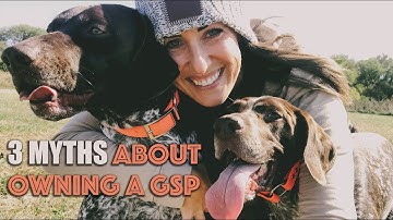 3 Myths About Owning A GSP
