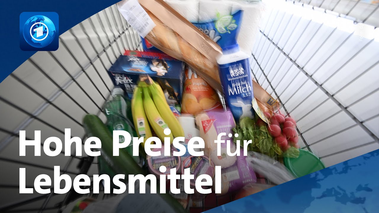 Hohe Lebensmittelpreise: Vorschläge der Politik