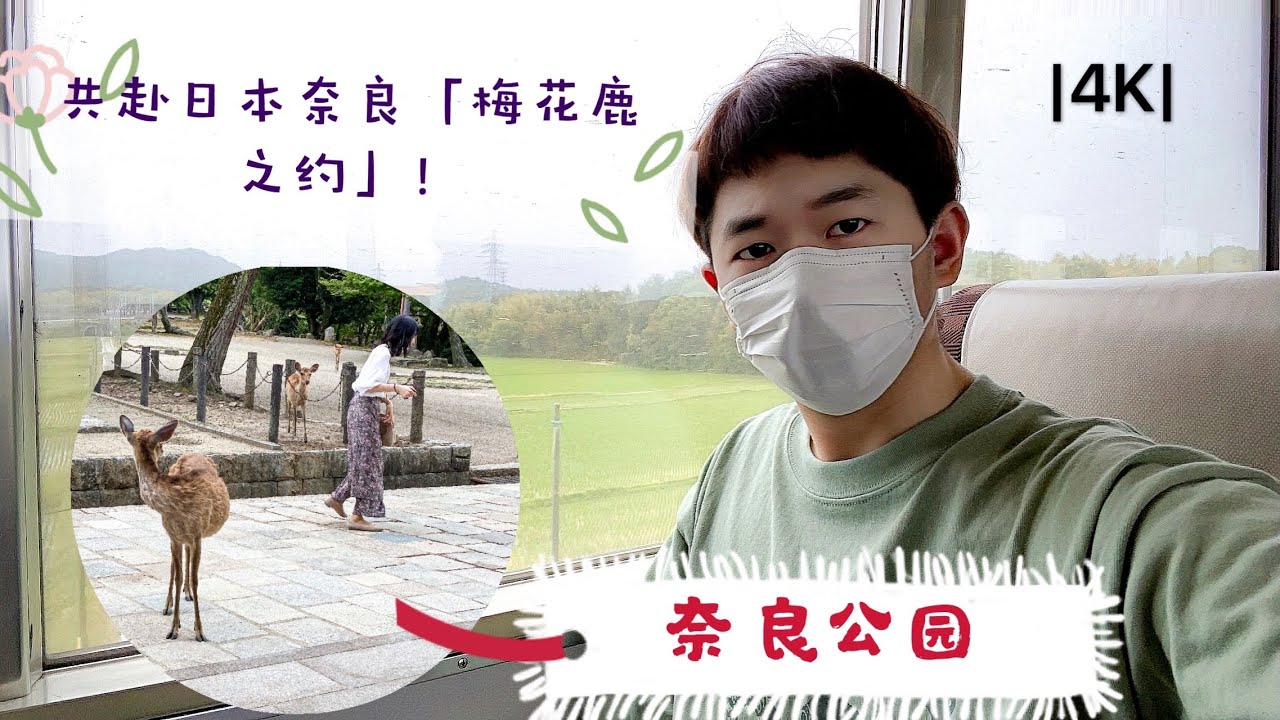 4k 周末去奈良公园看梅花鹿 这个季节的鹿最可爱了 索尼a6400 Iphone11pro拍摄 Youtube