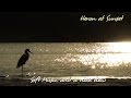 Heron at Sunset - relax with nice 1080p60fps water views + great piano