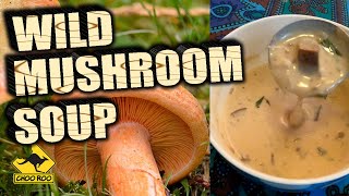 Cooking With Pine Mushrooms