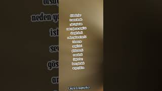 Çok Önemli Çağanın Sevgilisi...ile Ilgili