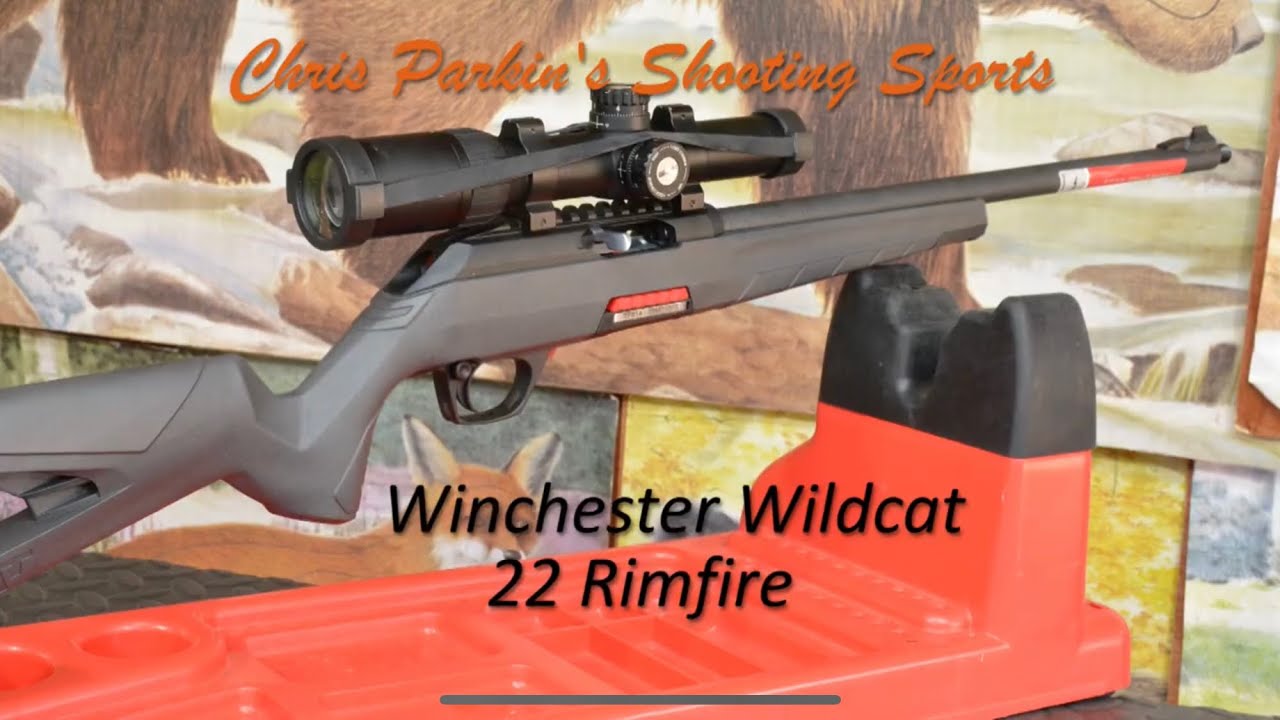 Winchester Wildcat 22 Rimfire Unboxing and first. 