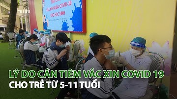 Lý do cần tiêm Vắc Xin Covid-19 cho Trẻ từ 5-11 tuổi| VTC14