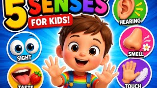 5 Senses for Kids 👀👂👃👅🖐️ | Learn Sight, Hearing, Smell, Taste & Touch