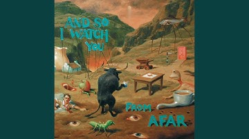 A Little bit of Solidarity goes a Long Way