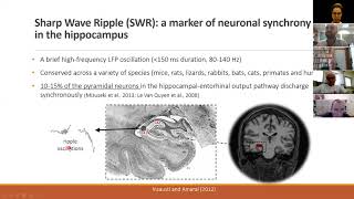Dr Itzik Norman on "The Role of Hippocampal Sharp Wave Ripples in Human Episodic Memory"