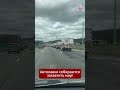 Сбой в матрице по-беларусски! Бесконечная колонна автолавок взорвала сеть #беларусь #viral #юмор