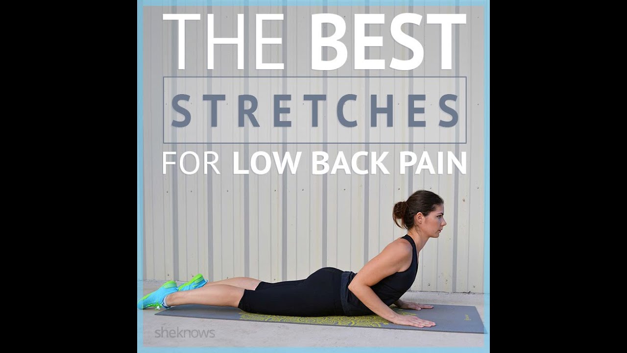 CORE & LOW BACK Strengthening Workout to Get Rid of Back Pain!! YouTube