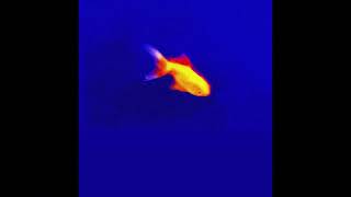 {FREE} Alternative Hip-Hop Type Beat - "Marina"