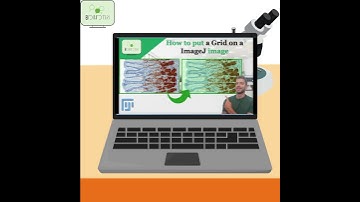 How to put a Grid on top of a Image on ImageJ #imagej #grid #shorts   #science #analysis #image