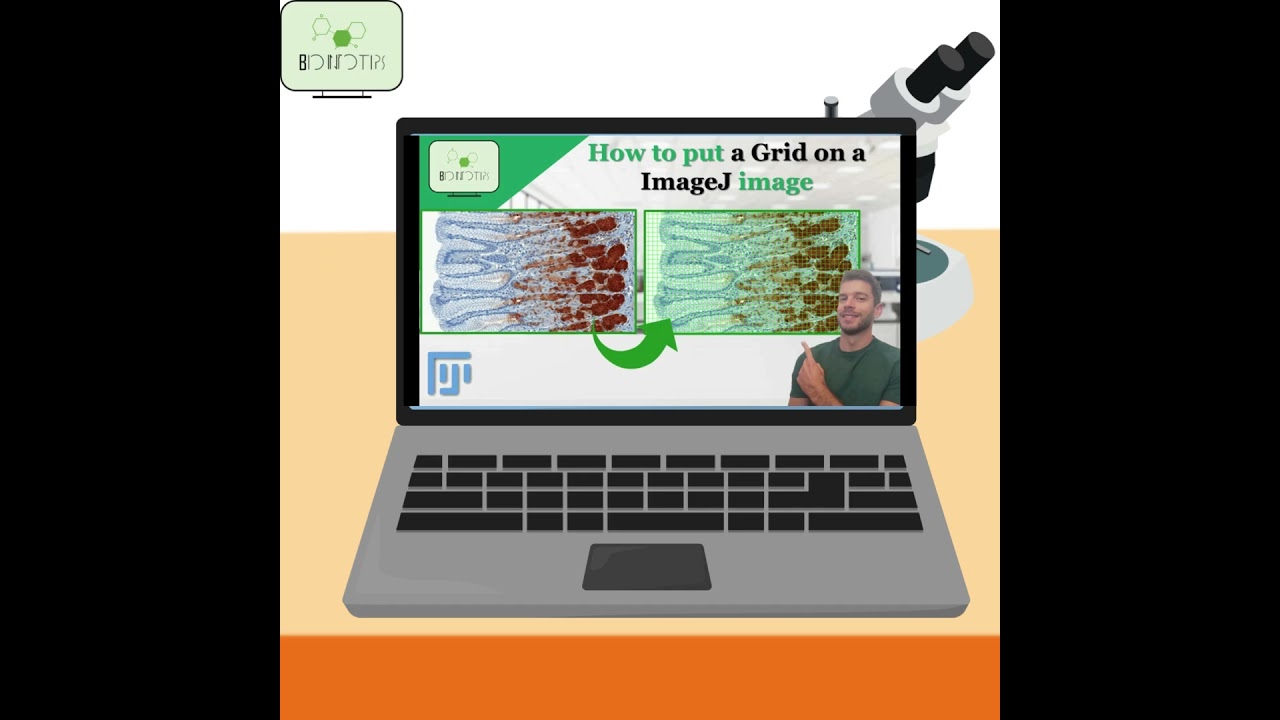How to put a Grid on top of a Image on ImageJ 