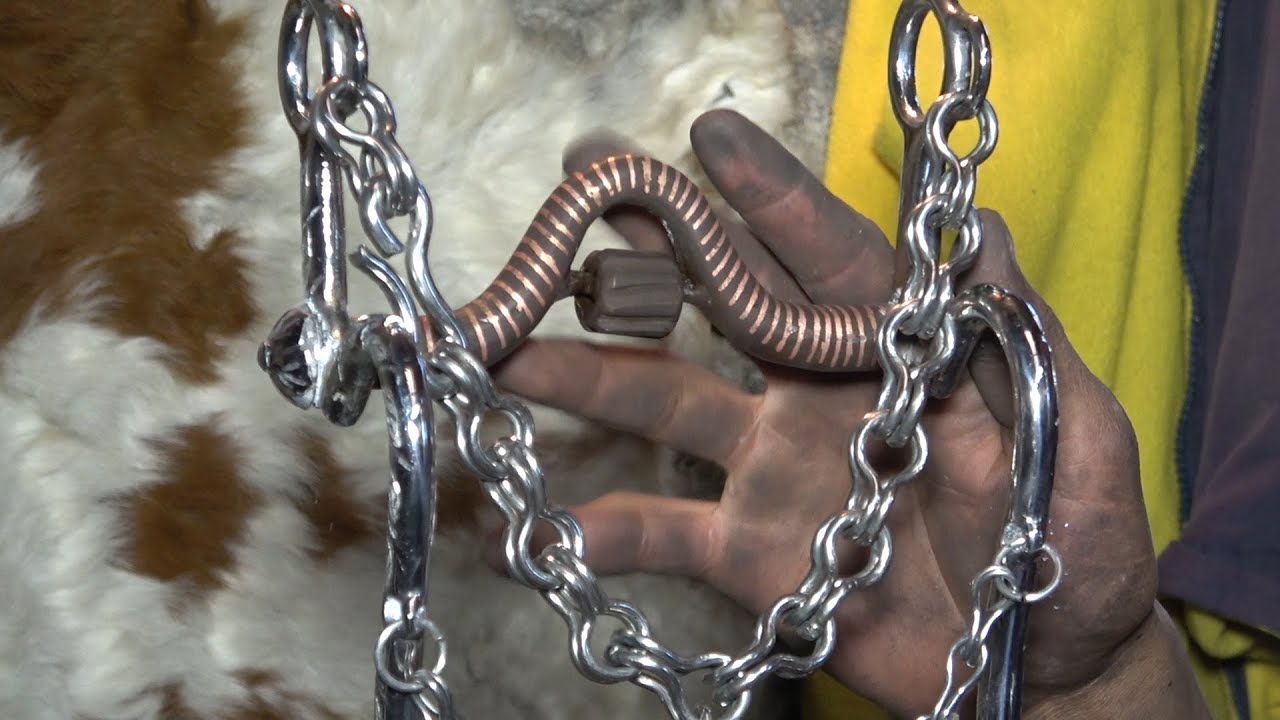 Frenos para Caballos, Fustes y más #Charrerías