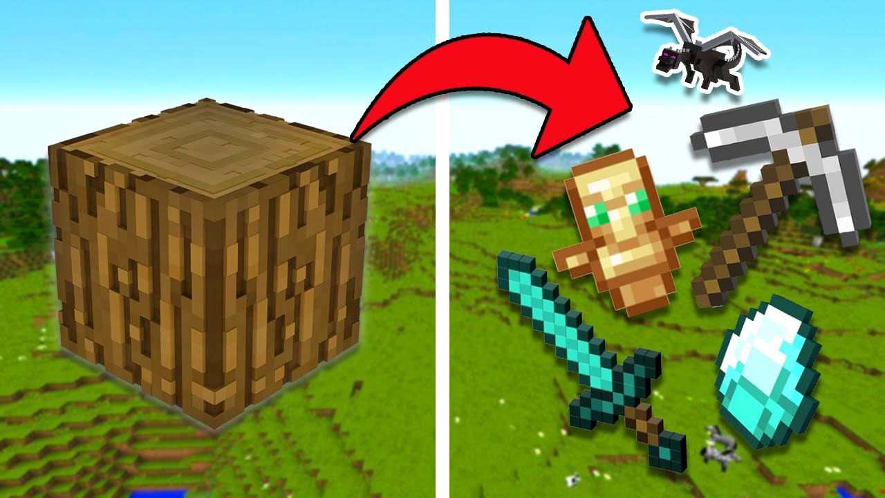 FIGHTING the ENDER DRAGON using ONLY items from a Minecraft RANDOMIZER