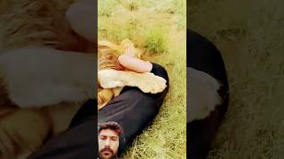 Lion Takes Me Down