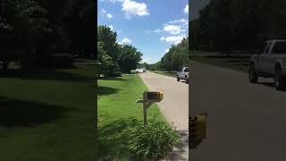 IMG 0836