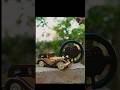 min rc remote controlunboxing short video#trending