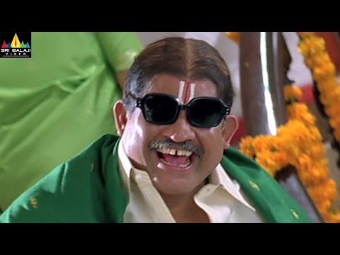 Tanikella Bharani Comedy Scenes Vol 04 | Back to Back Comedy Scenes | Sri Balaji Video