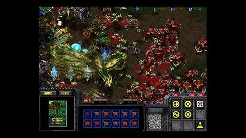 SCBW UMS - CPU Cat Survival