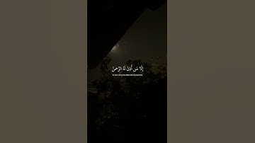 يوم يقوم الرُّوح - سورة النبأ | عبد الرحمن مسعد 🤍.