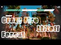 Liftoff FPV симулятор. Отжигаем, жарим в лесу! 2024 04 16   21 30 12 01
