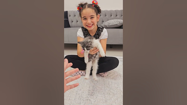 ben kedi istiyorum dedi #sorts #keşfet #elifsinem