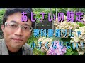 【あじさいの剪定①】花を咲かせて、小さくもしたい!両立できるのか?※この木の翌年の花付きは概要欄リンクからご覧いただけます🎥
