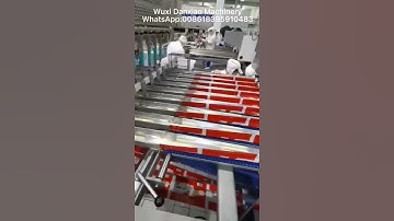 Stick Ice Cream Multichannel Packing Machine