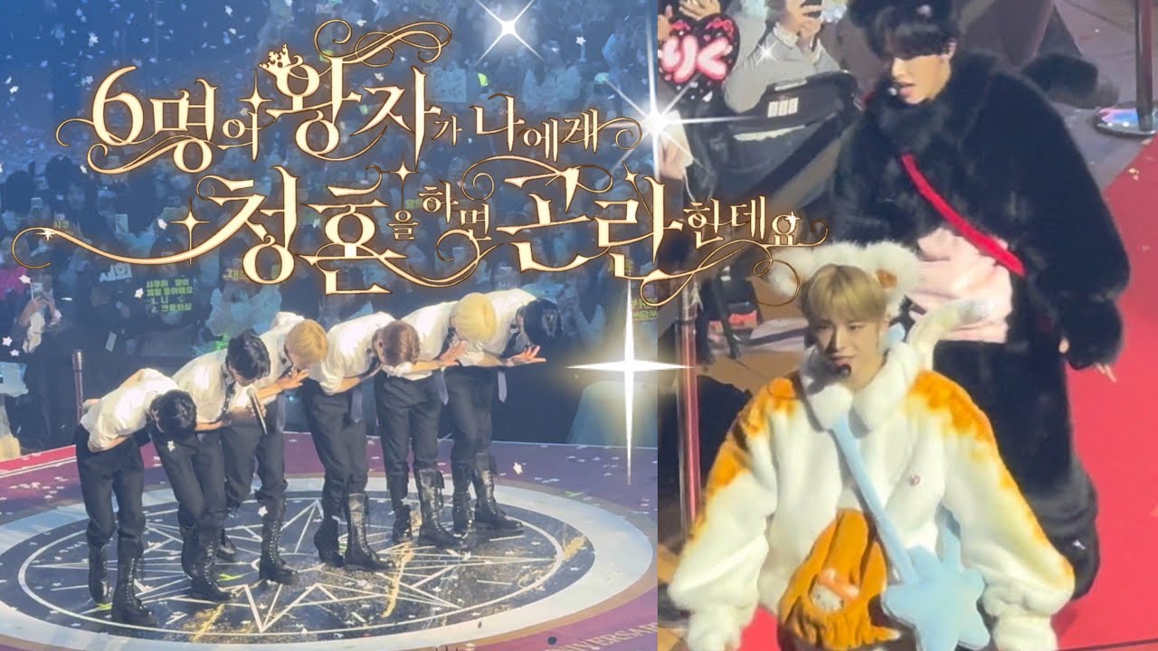 6명의 왕자님이 청혼하면 어떡해요? | 위즈니 브이로그