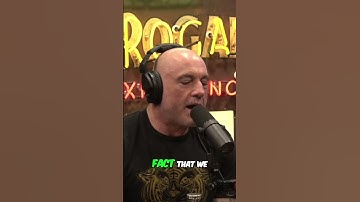 Discover the 12,000-Year-Old Calendar of Göbekli Tepe