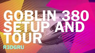 SAB Goblin 380 Setup and Overview