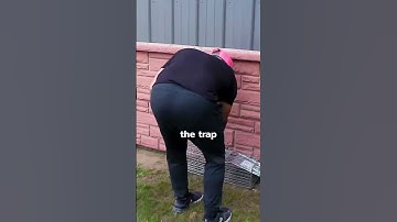 How to trap and remove a skunk from your property