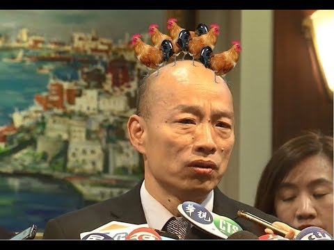 鳳凰飛走了 進來一堆Gee