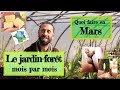 Jardin forêt en permaculture. Les activités du mois de Mars !