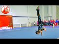  changquan 3rd set group a in moscow wushu stars championship 2023