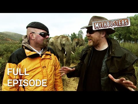 Steam Machine Gun put to the test! | MythBusters | S4 E24 | Full Episode
