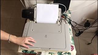 Canon MG2410 encuentra24
