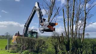 Koala Smart Grip Tree Collector Mde Machinery