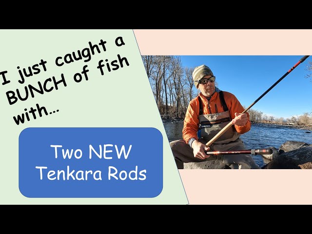 Two NEW Tenkara rods and LOTS of trout to test them on. 