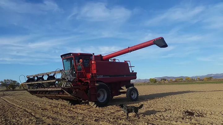 Case IH 1460 Combine