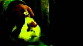 Salutacions des de Galicia =)