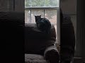 His first snow