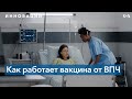 В США заявили, что вакцинация от ВПЧ может избавить человечество от некоторых видов рака