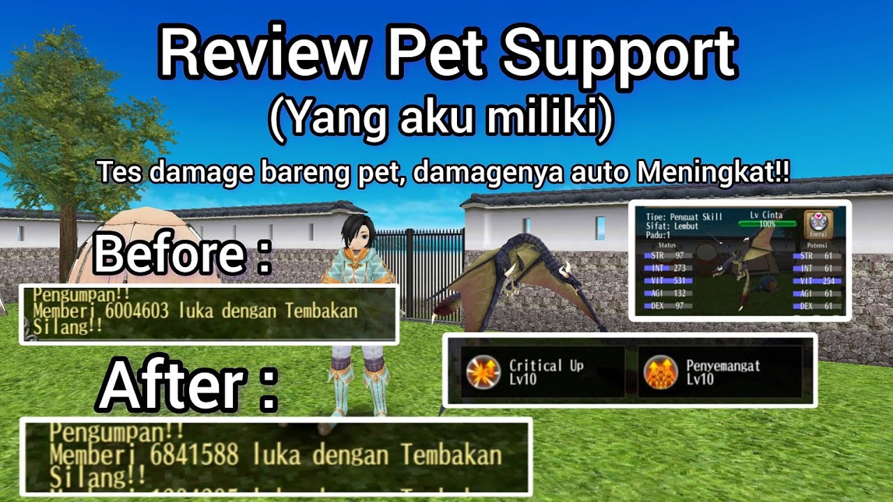Toram Online Pet Support (test damage bareng pet, damage ku auto