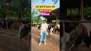 😱 कम खर्च में डेयरी शेड कैसे बनाएं? #dairyfarming #dairyfarm #villagelife #cow #ytshorts