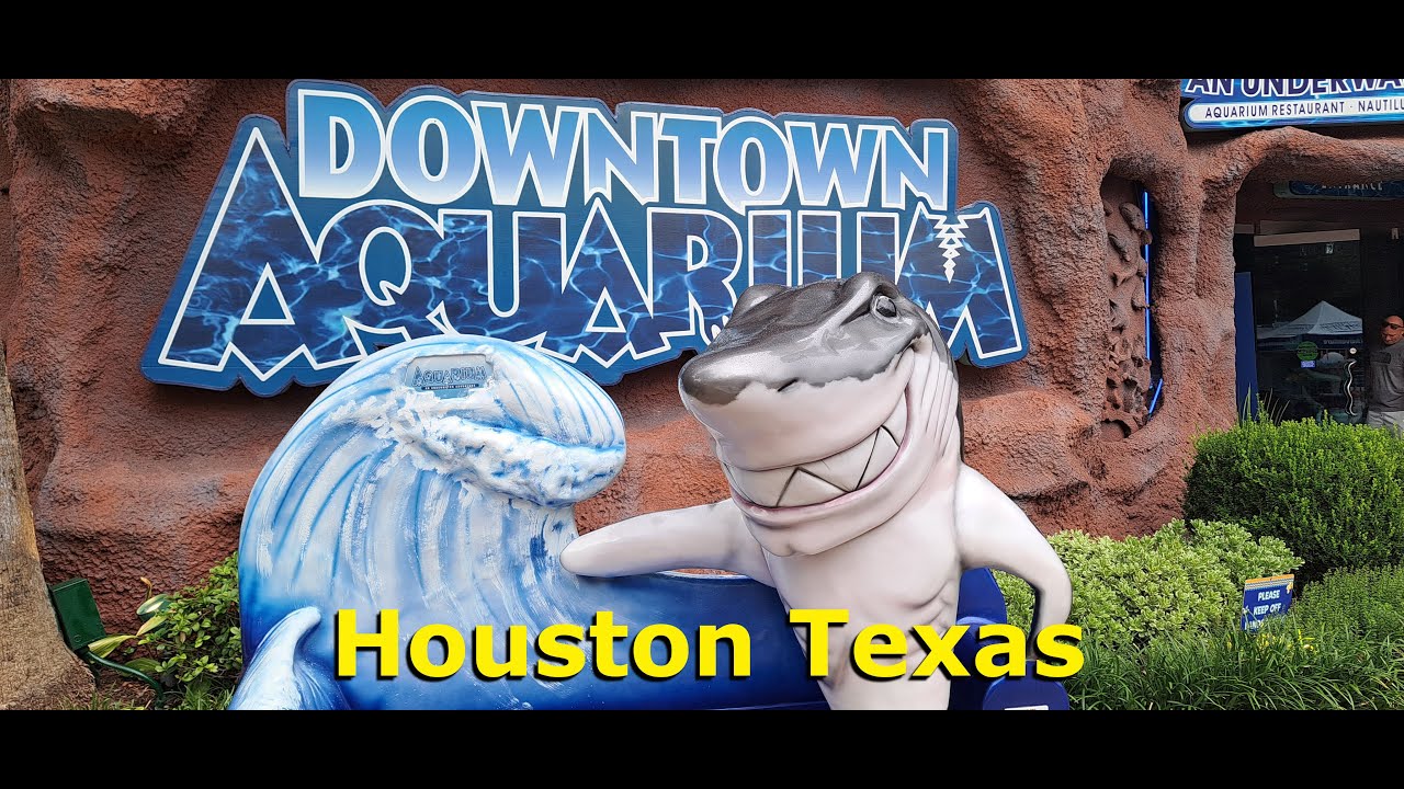 Downtown Aquarium Houston Texas YouTube