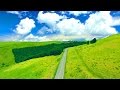 4K映像 絶景ドローン空撮「初夏のビーナスライン 霧ヶ峰高原」癒し自然風景