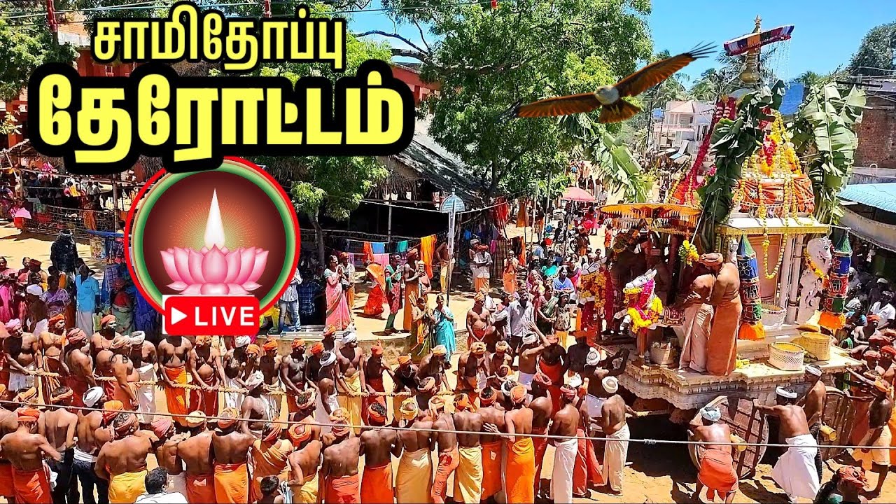 சாமிதோப்பு தை தேரோட்டம் 2026 | Samithoppu tiruvizha 2026 #samithoppu #tiruvizha #தேரோட்டம் #2026 