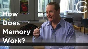 Robert Bilder - How Does Memory Work?